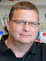 Prof. Dr. Thomas Reinheckel
